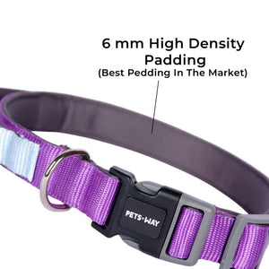 AMETHYST & SKY PRO GRIP COLLAR