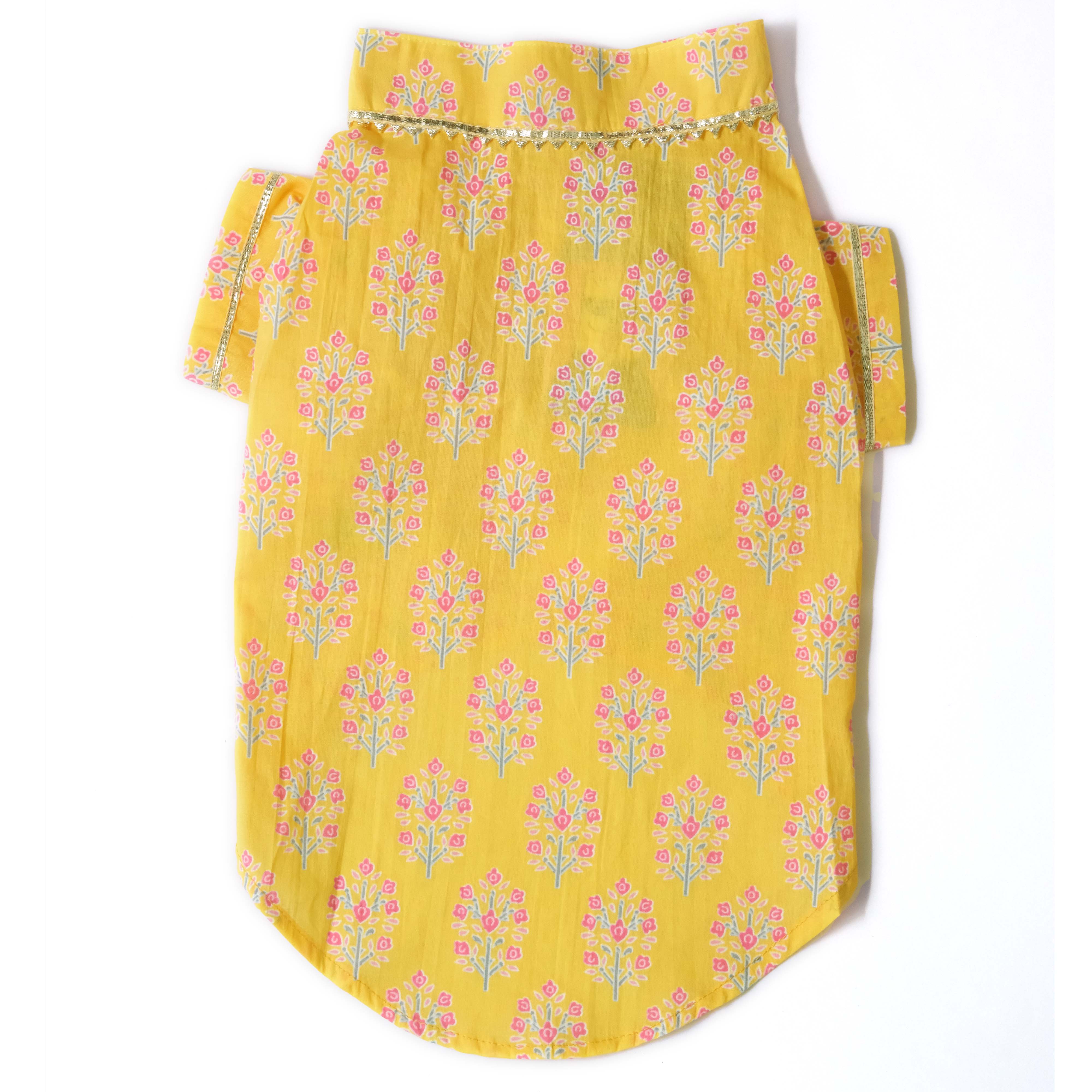 Bandhani Sanganeri- BY Dog Kurta Combo