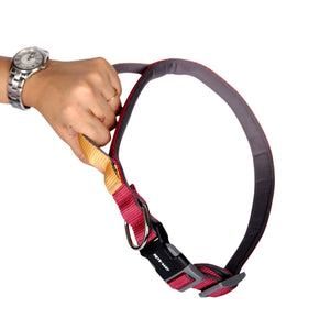 WINE & HONEY PRO GRIP COLLAR