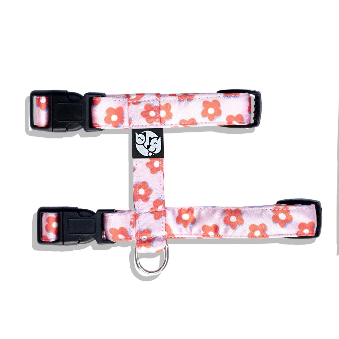 Pawfect Flower Puppy & Cat Harness