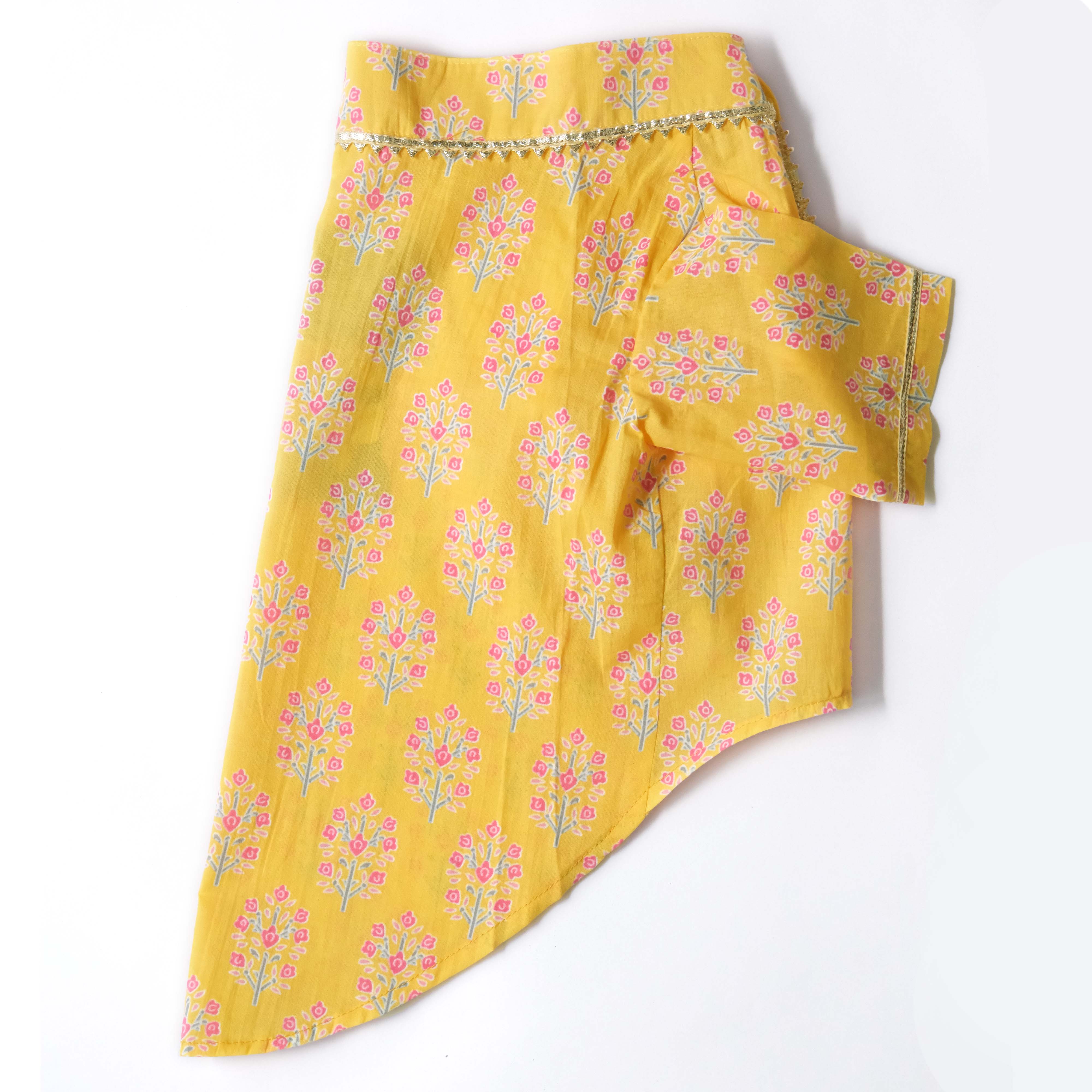 Bandhani Sanganeri- BY Dog Kurta Combo