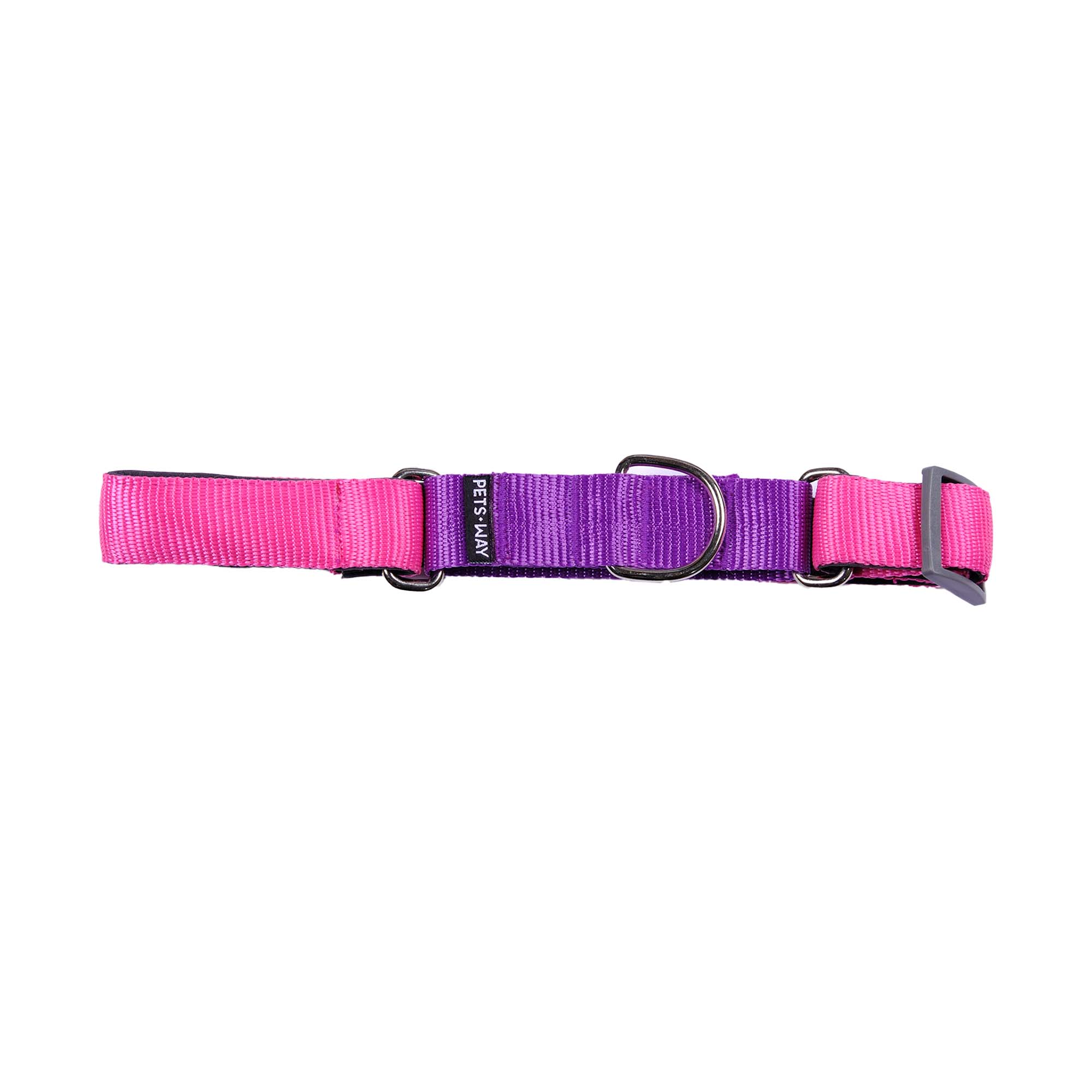 FUCHSIA & AMETHYST MARTINGALE COLLAR