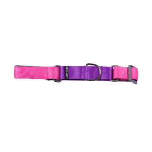 FUCHSIA & AMETHYST MARTINGALE COLLAR
