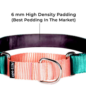 EMERALD & PEACH MARTINGALE COLLAR
