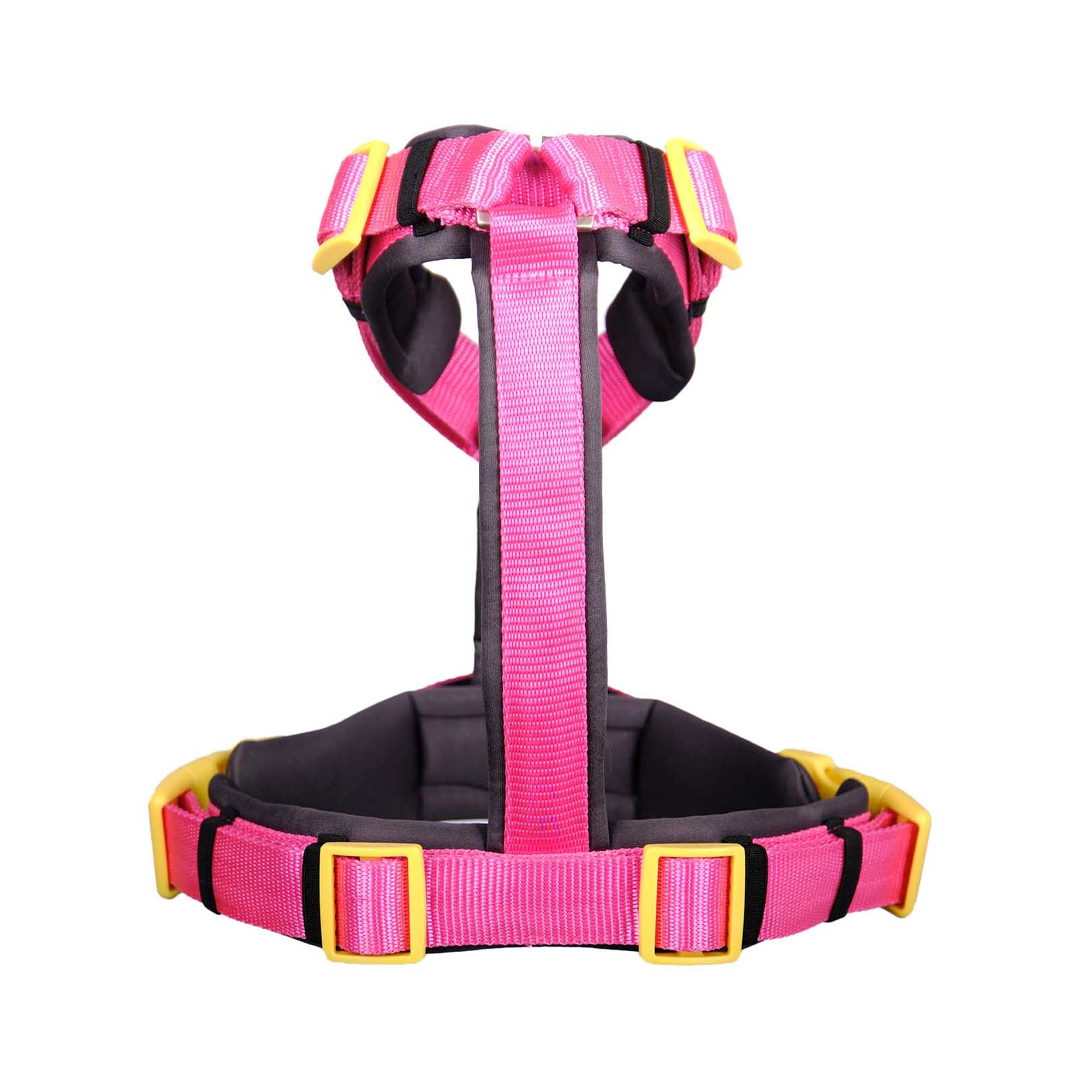FUCHSIA ALPHA HARNESS