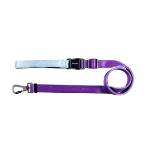 AMETHYST & SKY FLEX 7 IN 1 LEASH
