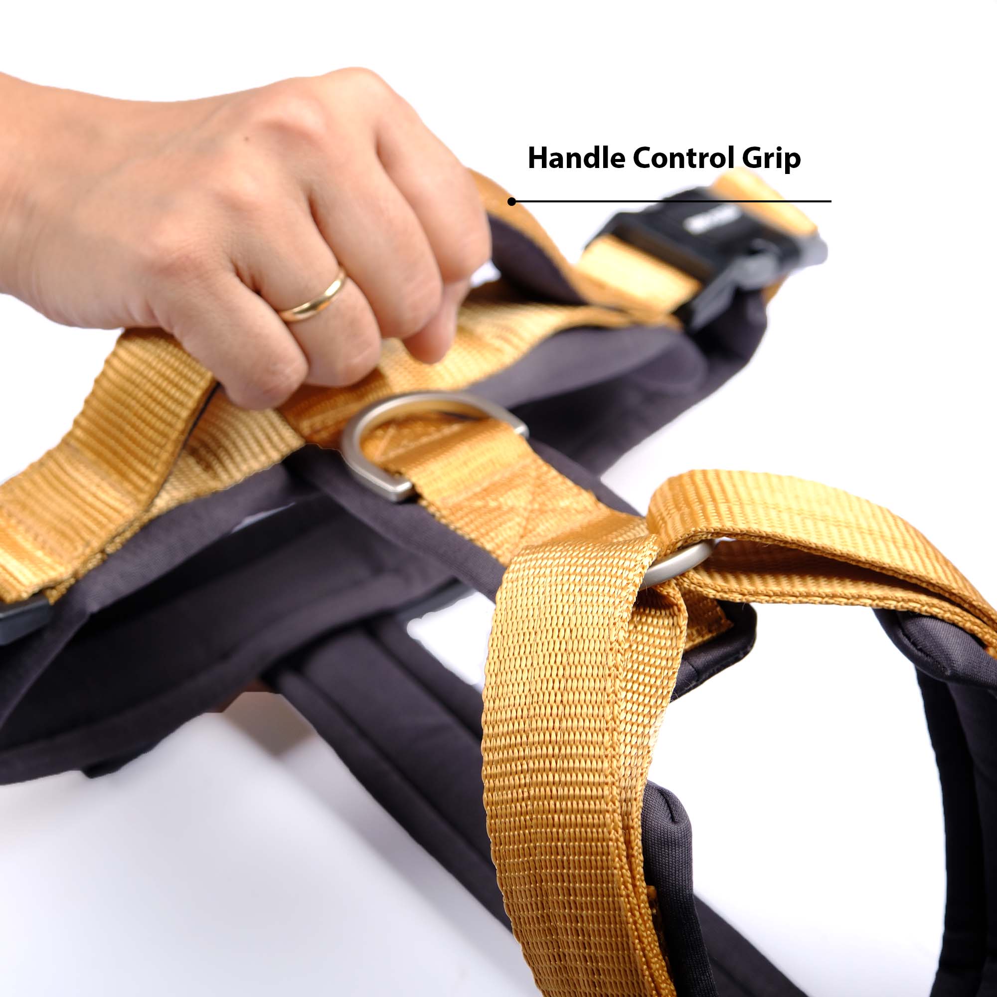 HONEY ALPHA HARNESS