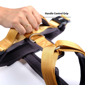 HONEY ALPHA HARNESS