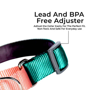 EMERALD & PEACH MARTINGALE COLLAR