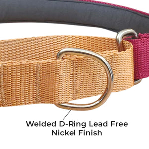 WINE & HONEY MARTINGALE COLLAR