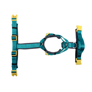 EMERALD ALPHA HARNESS