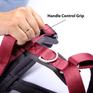 WINE ALPHA HARNESS