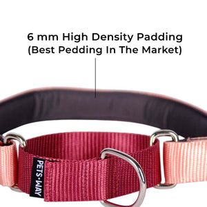 PEACH & WINE MARTINGALE COLLAR