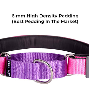 FUCHSIA & AMETHYST MARTINGALE COLLAR