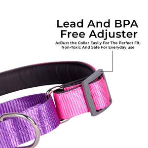 FUCHSIA & AMETHYST MARTINGALE COLLAR