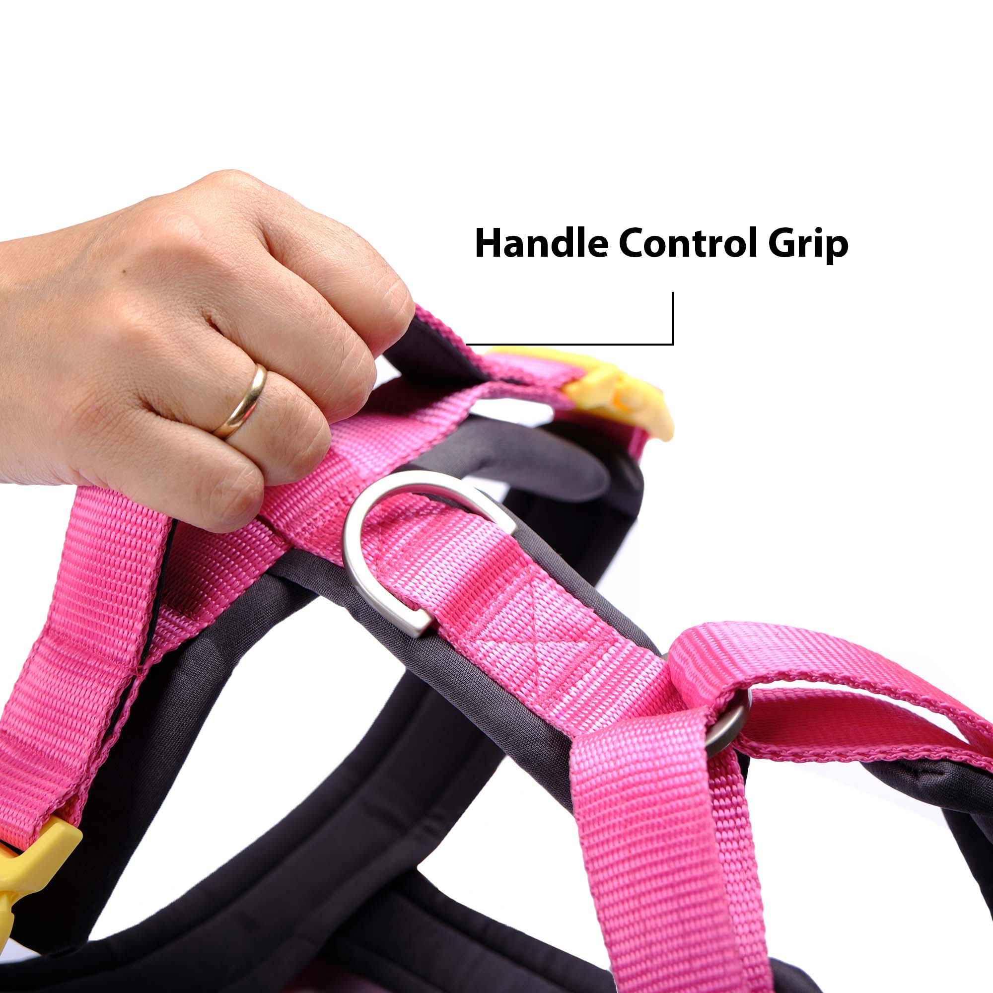 FUCHSIA ALPHA HARNESS