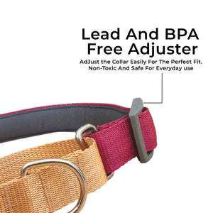 WINE & HONEY MARTINGALE COLLAR