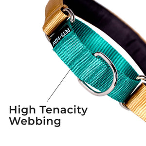 HONEY & EMERALD MARTINGALE COLLAR