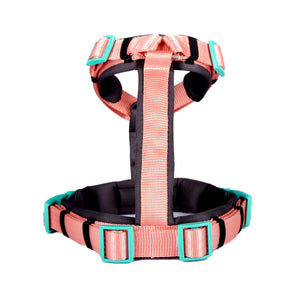 PEACH ALPHA HARNESS