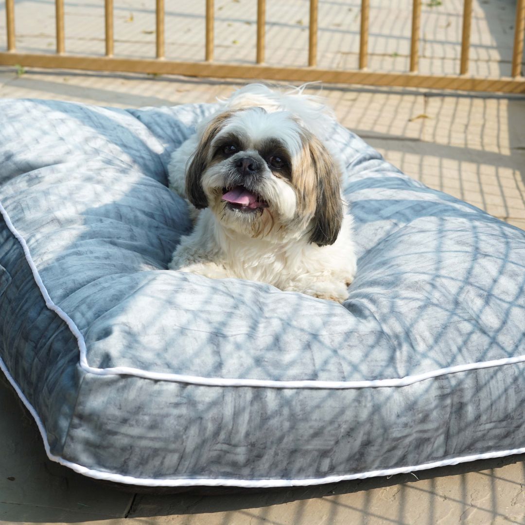 Ash Velvet Mattress for Dogs