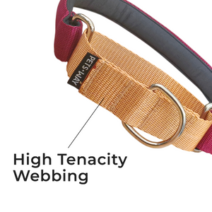 WINE & HONEY MARTINGALE COLLAR