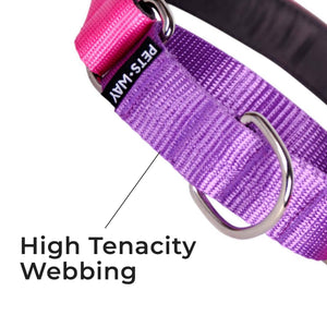 FUCHSIA & AMETHYST MARTINGALE COLLAR