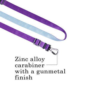 AMETHYST & SKY FLEX 7 IN 1 LEASH