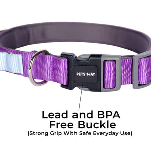 AMETHYST & SKY PRO GRIP COLLAR