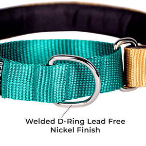 HONEY & EMERALD MARTINGALE COLLAR