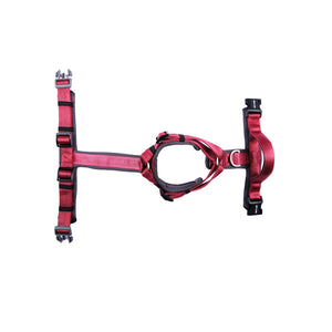 WINE ALPHA HARNESS