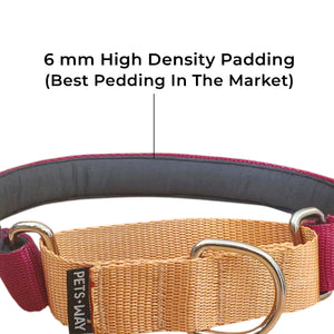 WINE & HONEY MARTINGALE COLLAR