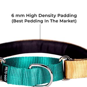 HONEY & EMERALD MARTINGALE COLLAR