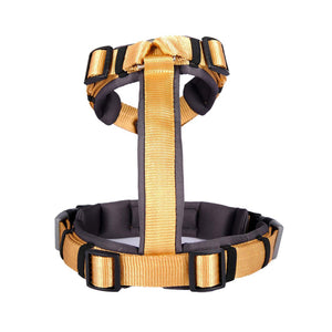 HONEY ALPHA HARNESS