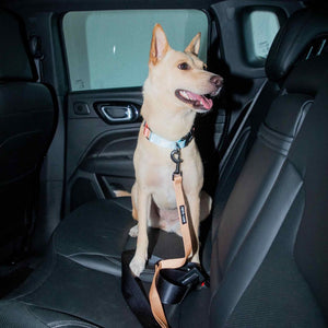 Honey Car Seat Belt