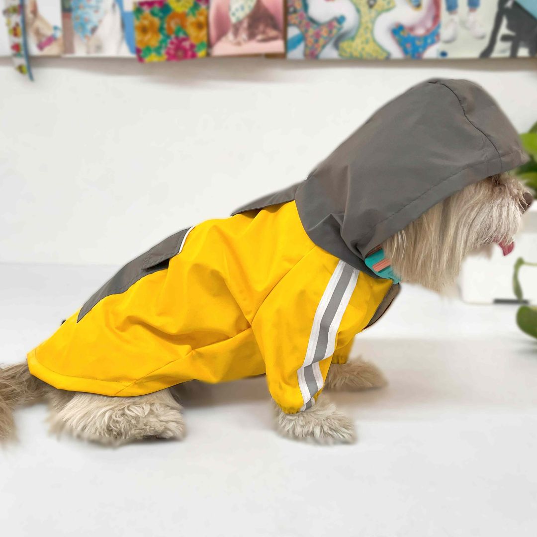 RainStorm Raincoat - Butterscoth