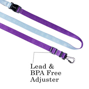 AMETHYST & SKY FLEX 7 IN 1 LEASH
