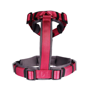 WINE ALPHA HARNESS