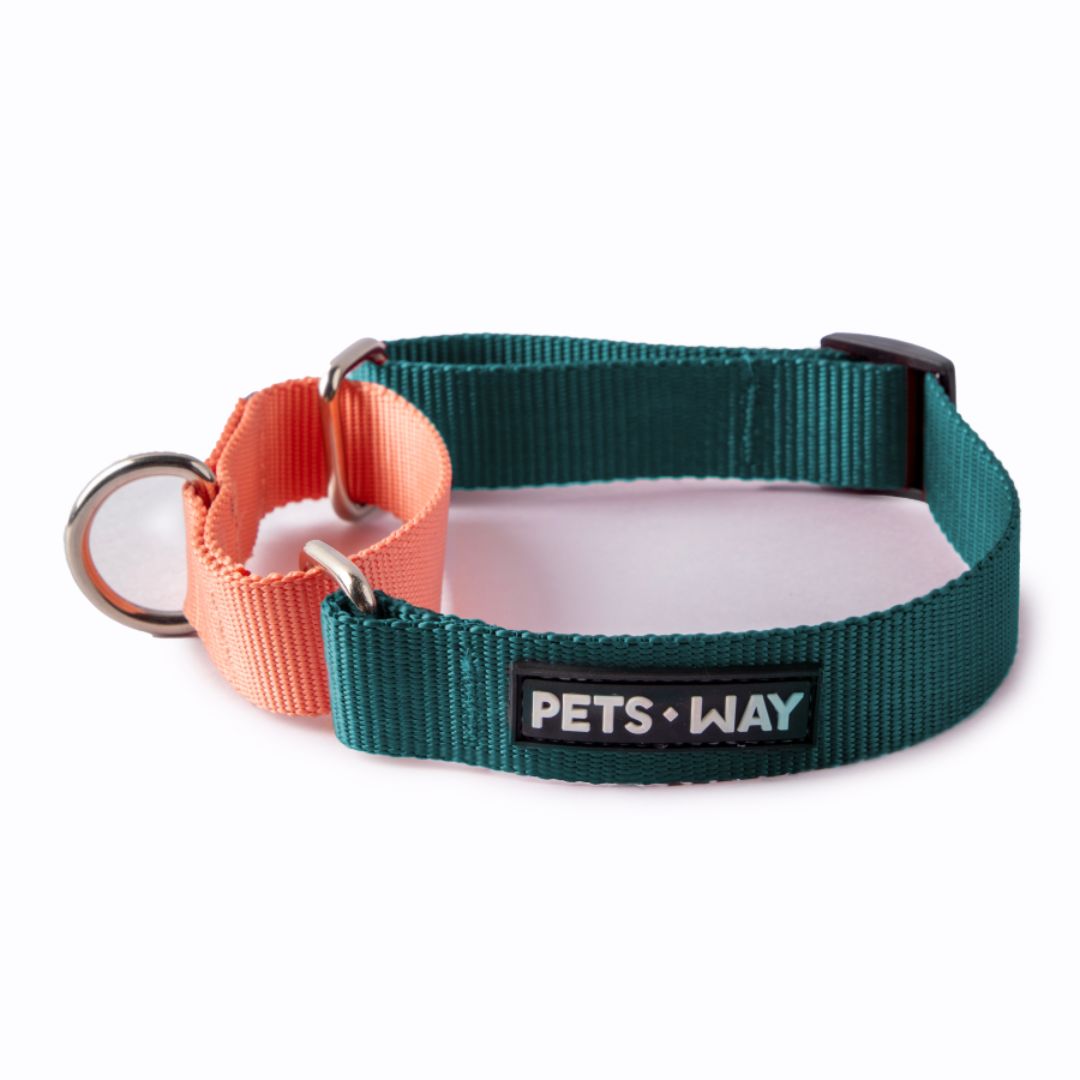 Emerald & Peach - Martingale Dog Collar