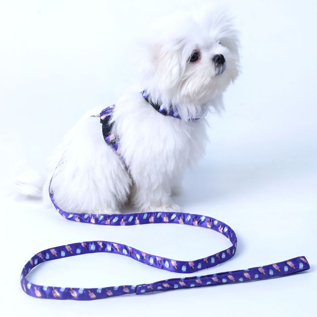 Candy Crush Puppy Dog Leash