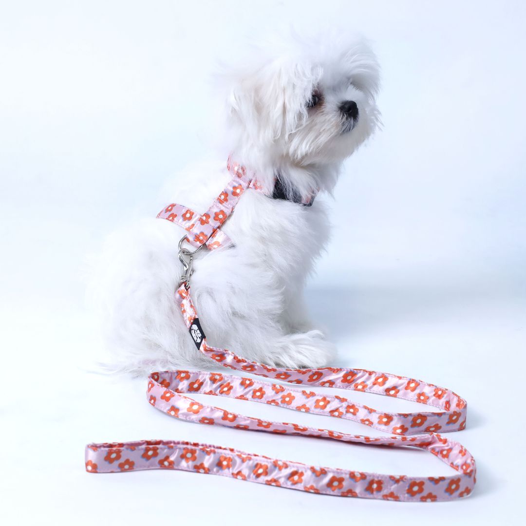 Pawfect Flower Puppy Dog Leash