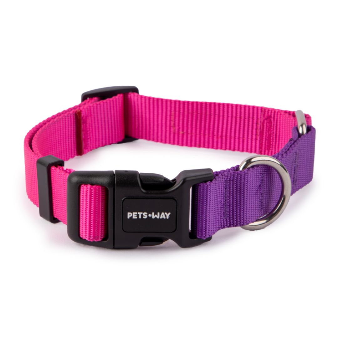 Fuschia & Amethyst - Dual Color Dog Collar