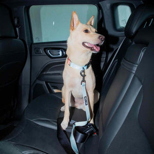Sky Car Seat Belt