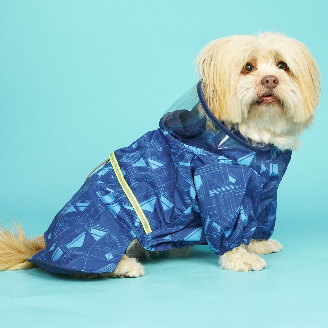 Haze Dog Raincoat-Cobalt