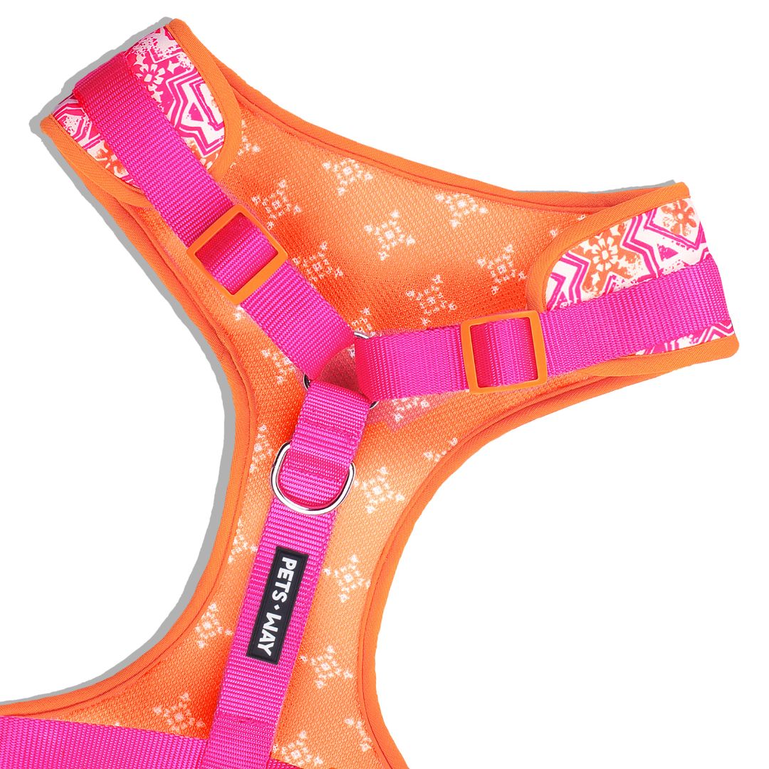 Jaipur Vest Harness