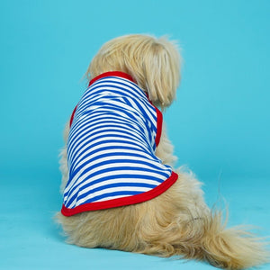 Anchor Dog Vest