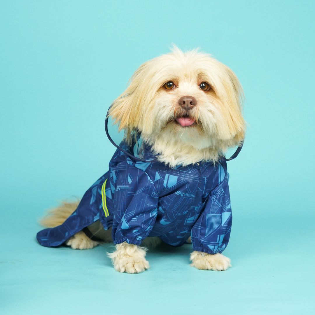 Haze Dog Raincoat-Cobalt