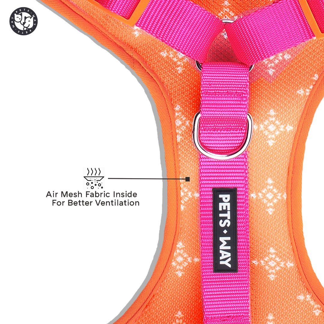 Jaipur Vest Harness