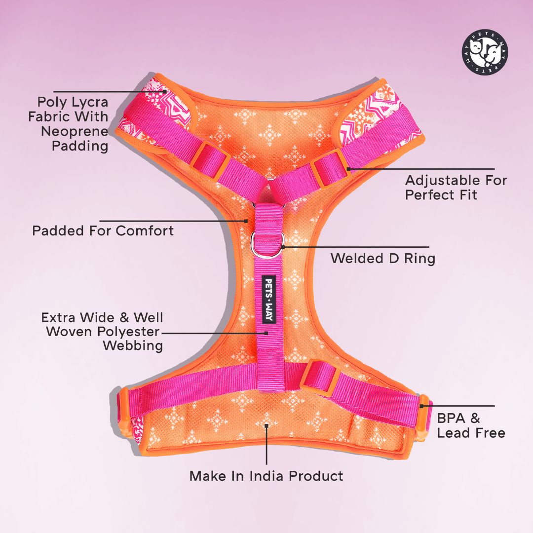 Jaipur Vest Harness