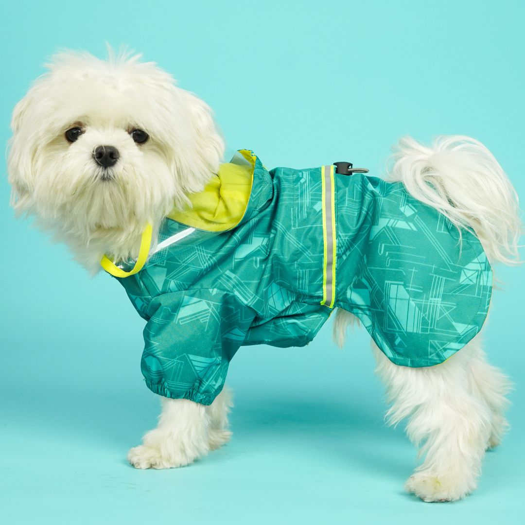 Haze Dog Raincoat-Teal
