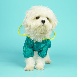 Haze Dog Raincoat-Teal
